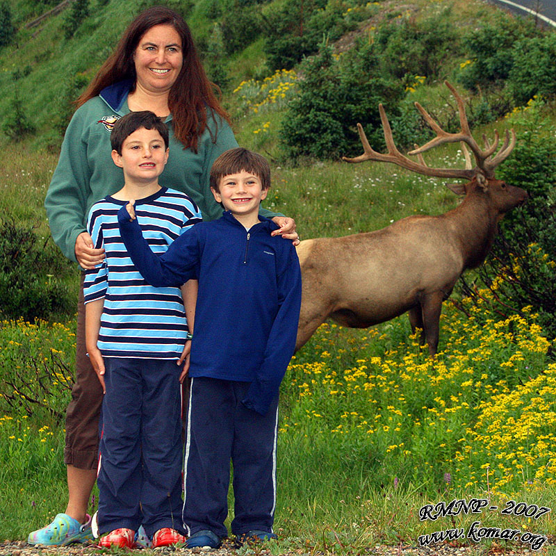 rocky mountain national park elk
