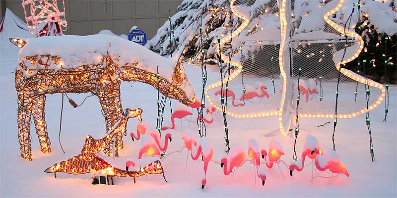 christmas pink flamingo