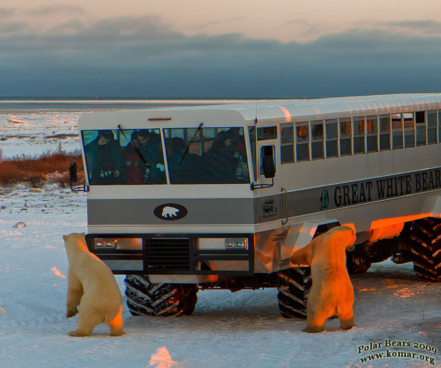 Land rover polar