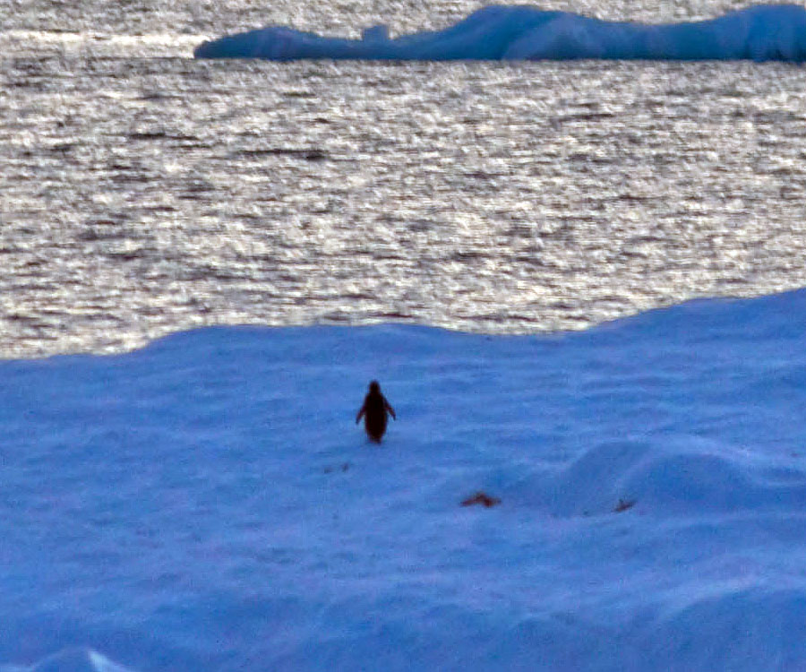 Antarctica Sunrise - WOW!!!