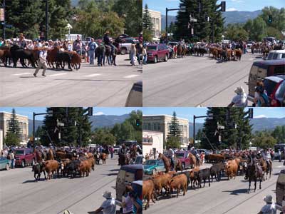 steamboat cattle drive